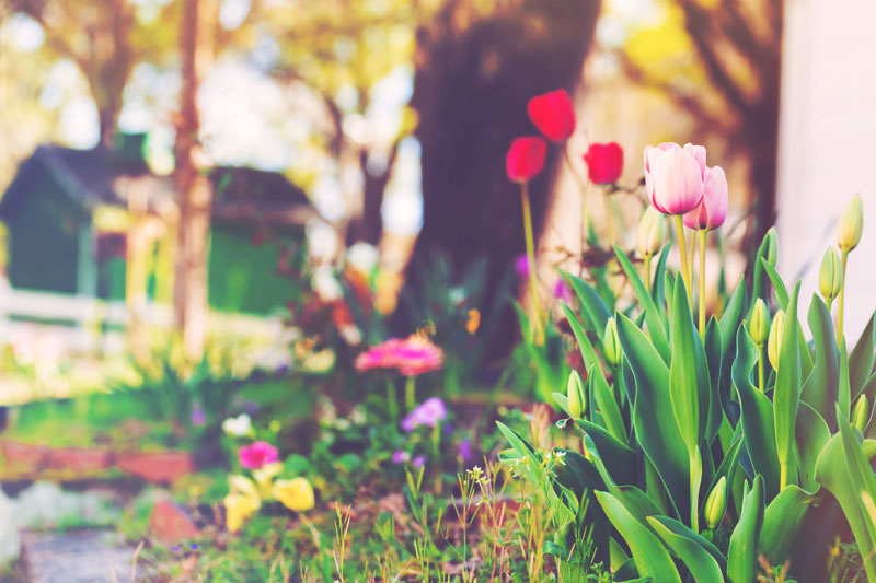 Protect Your Home with These Spring Home Maintenance Tips