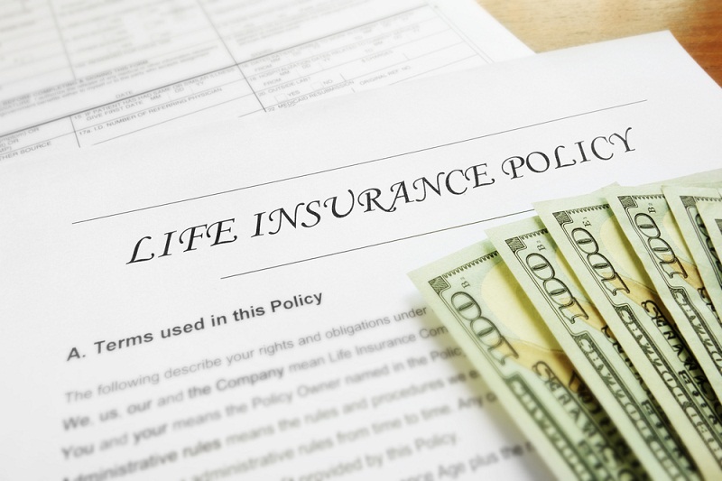 Life Insurance  -  What are You Paying For?